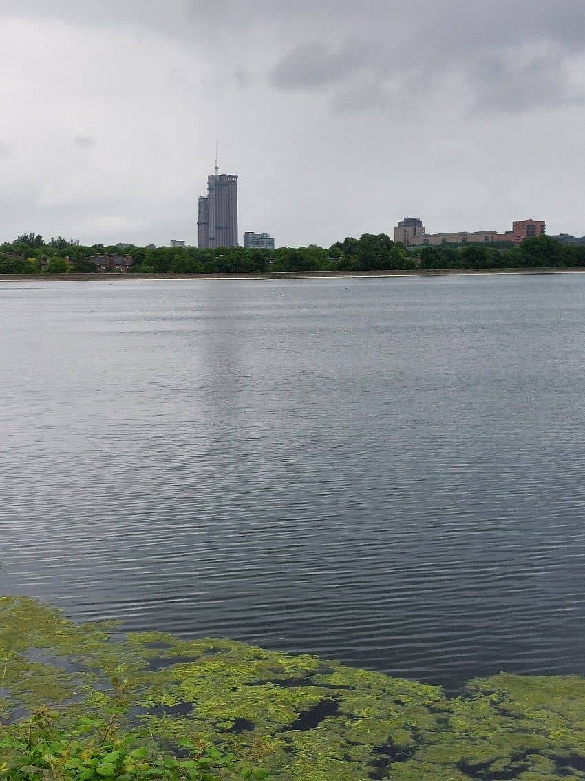 Reservoir Walks