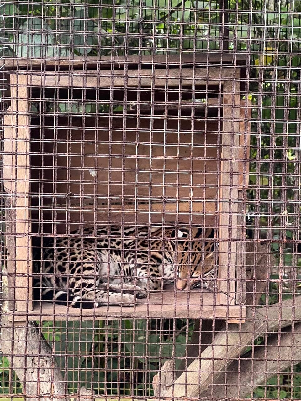 Botanical Garden Beauty