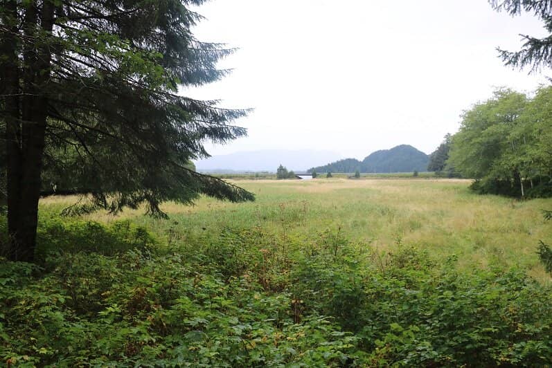 Beachfront Picnic Sites