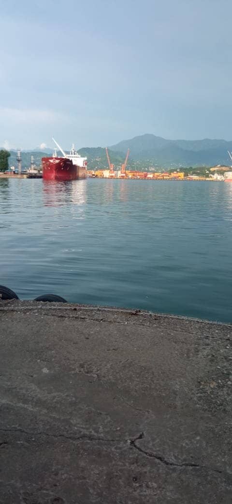 The Bustling Port