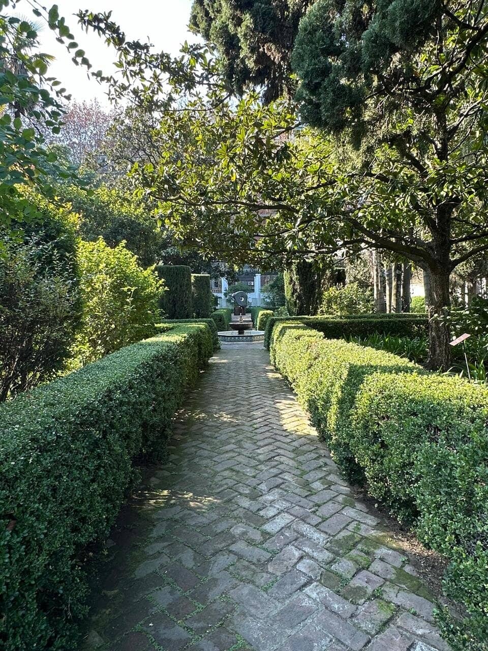 Spanish Art Collection