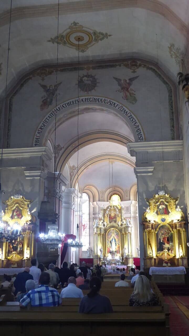 Musical Performances