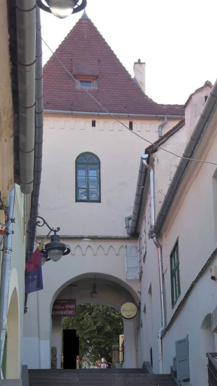 Tower Viewpoint
