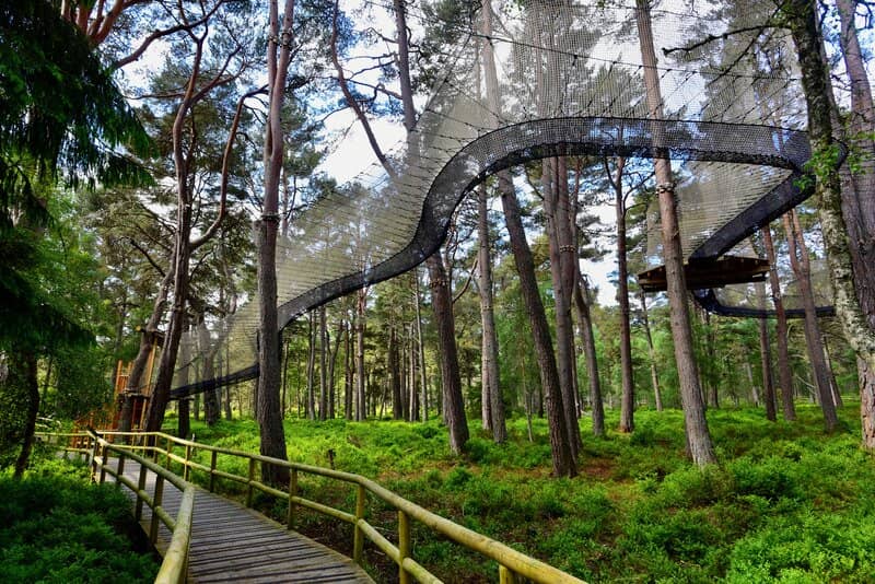 Treetop Nets & Tower