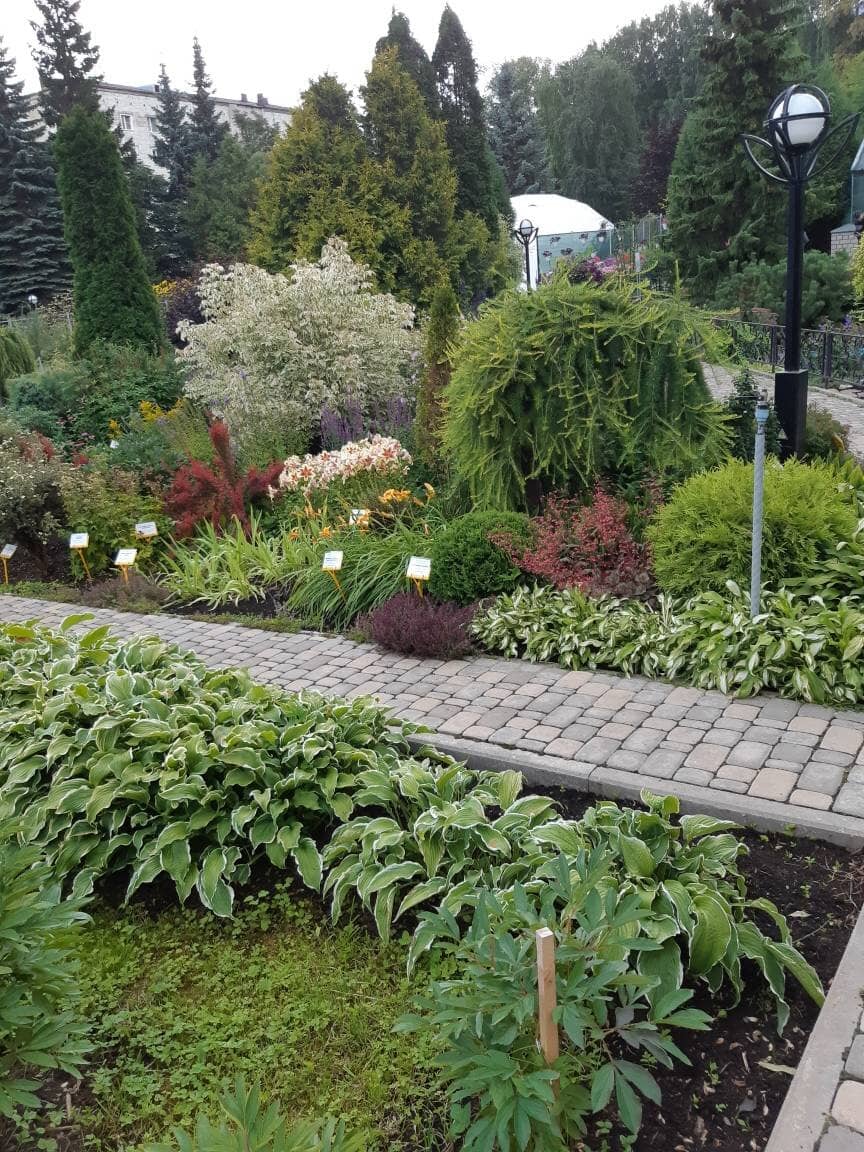 The Iridarium's Iris Collection