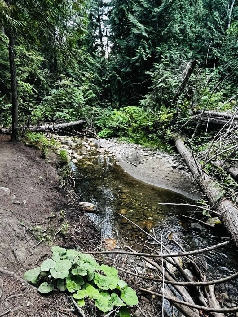 Creek Exploration