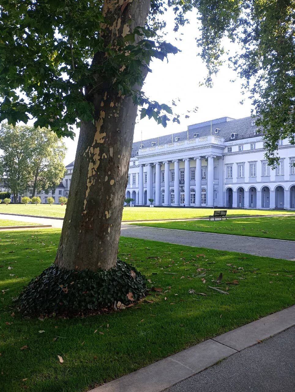 Palace Gardens