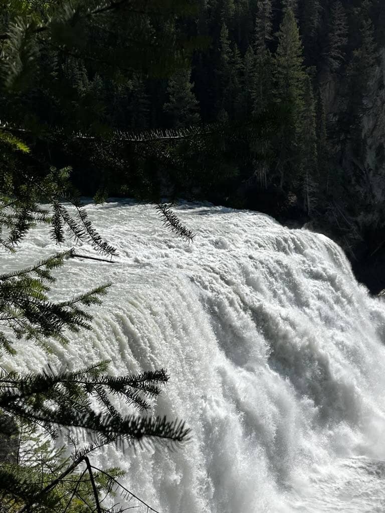Kicking Horse River Trail