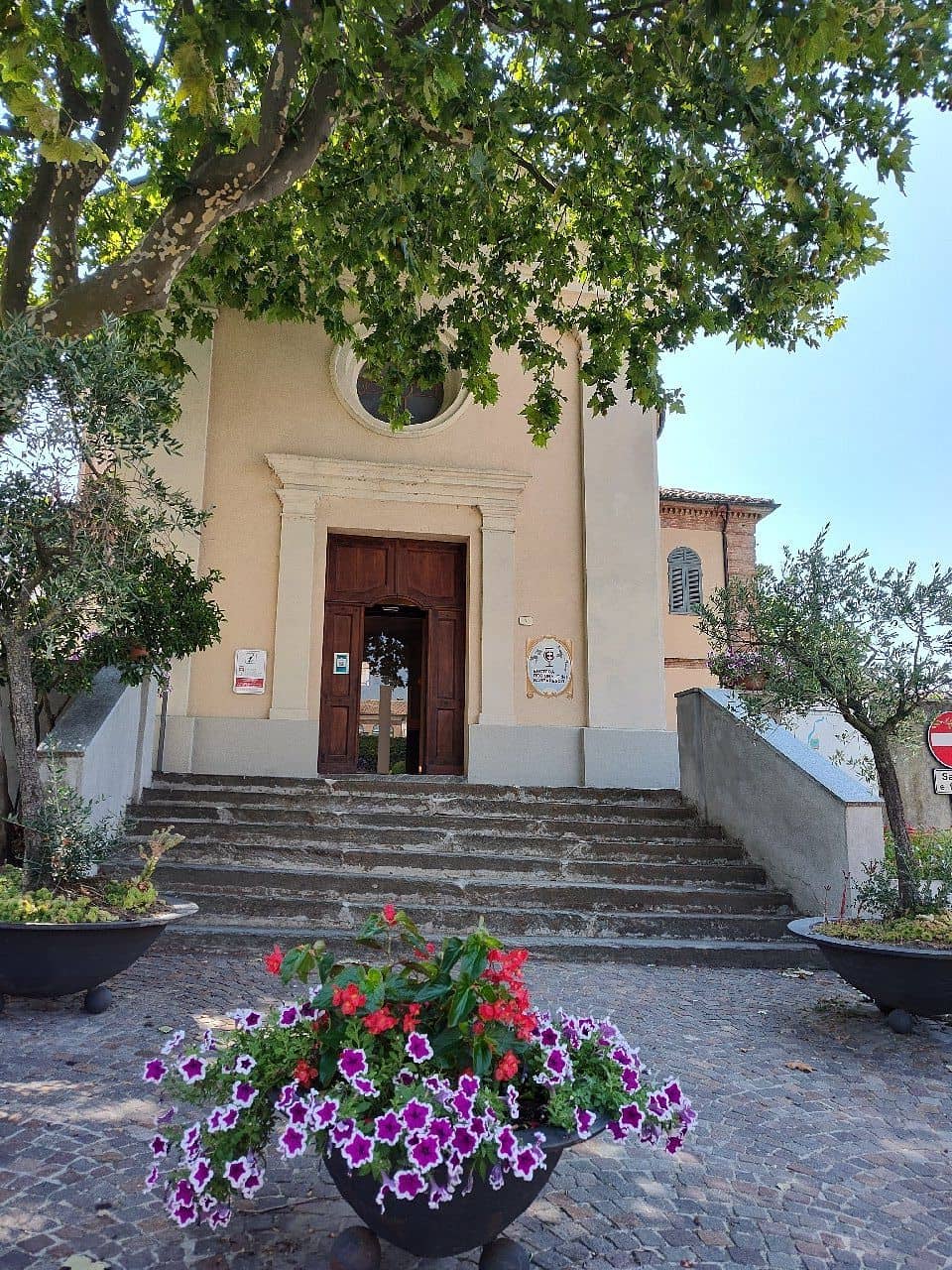 Knowledgeable Staff & Recommendations