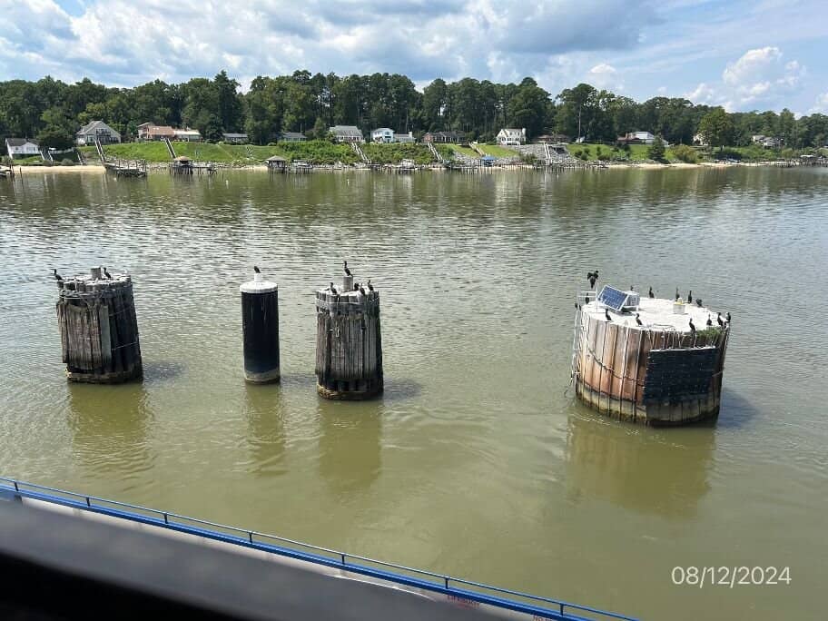 Relaxing Deck Stroll