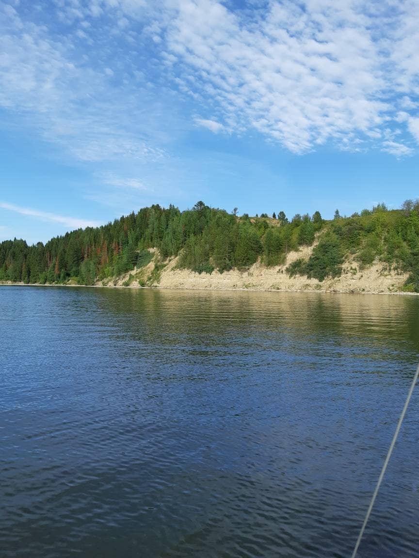 Festive Nighttime Glow