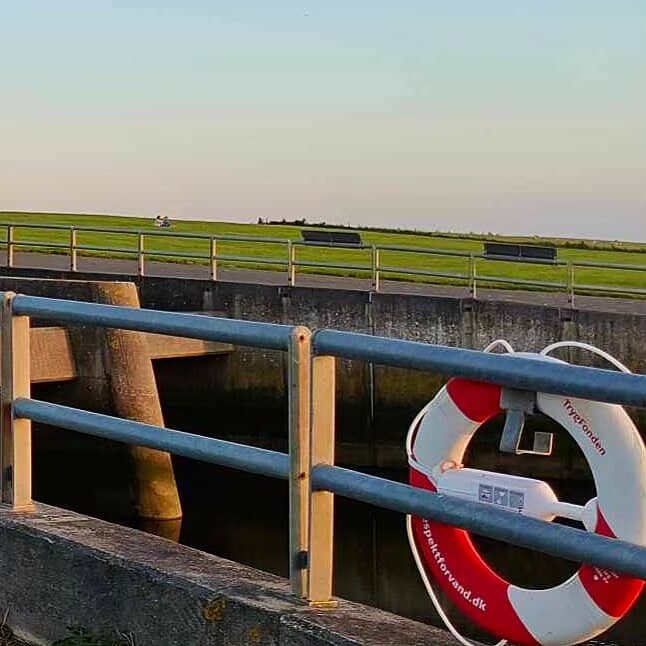 Coastal Protection Engineering