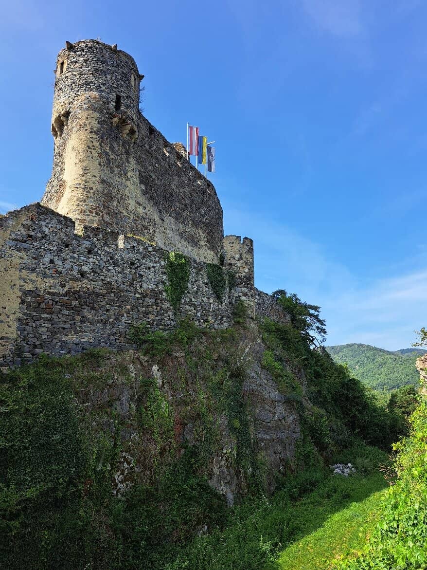 Vertical photo