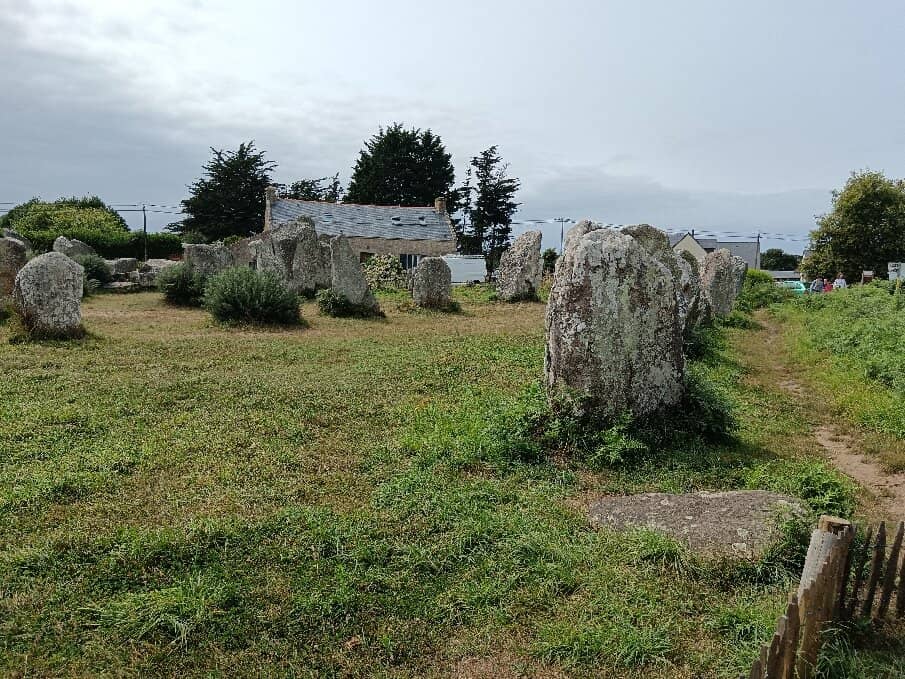 Dog-Friendly Exploration