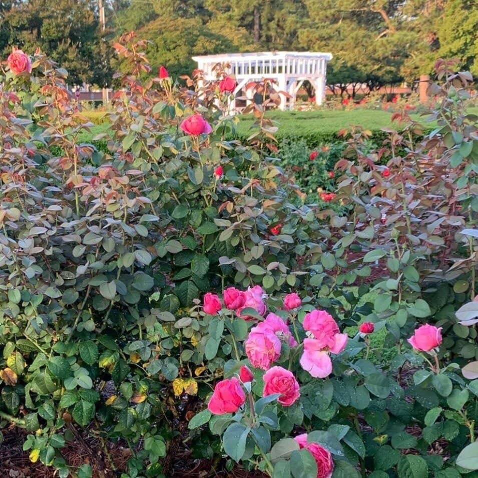 Tranquil Stone Benches