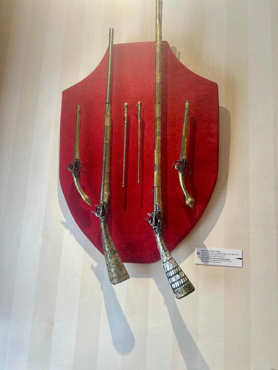 Special Exhibitions