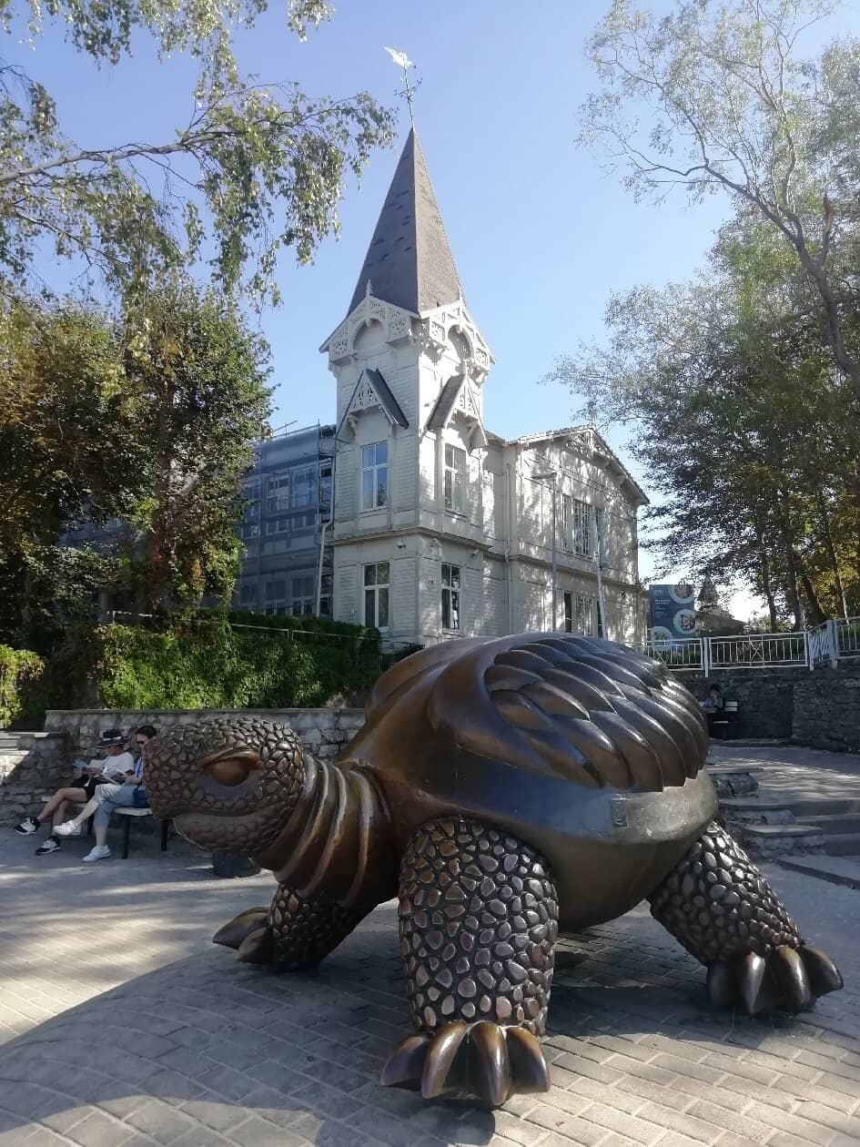 Kid-Friendly Photo Op