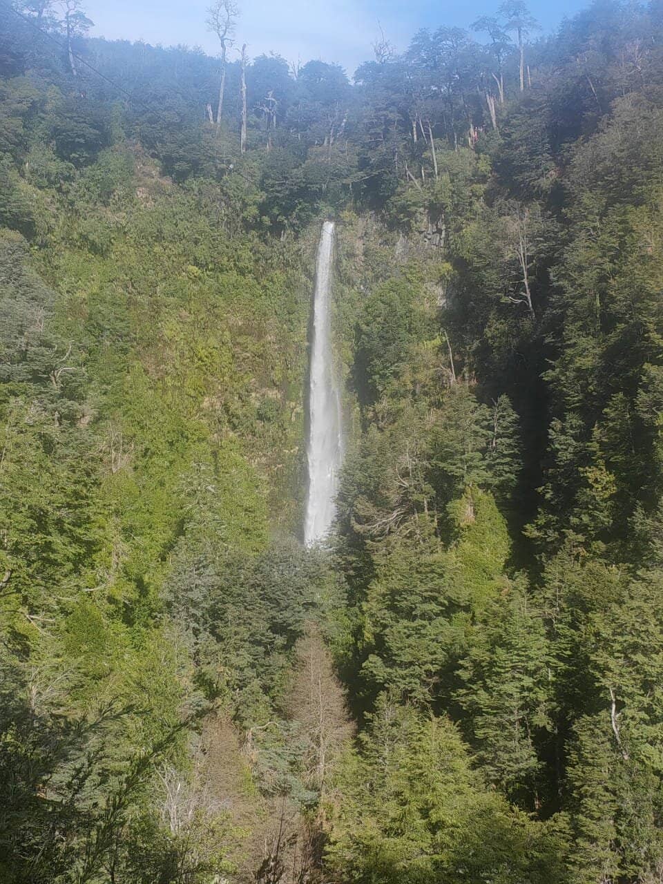 Salto la China