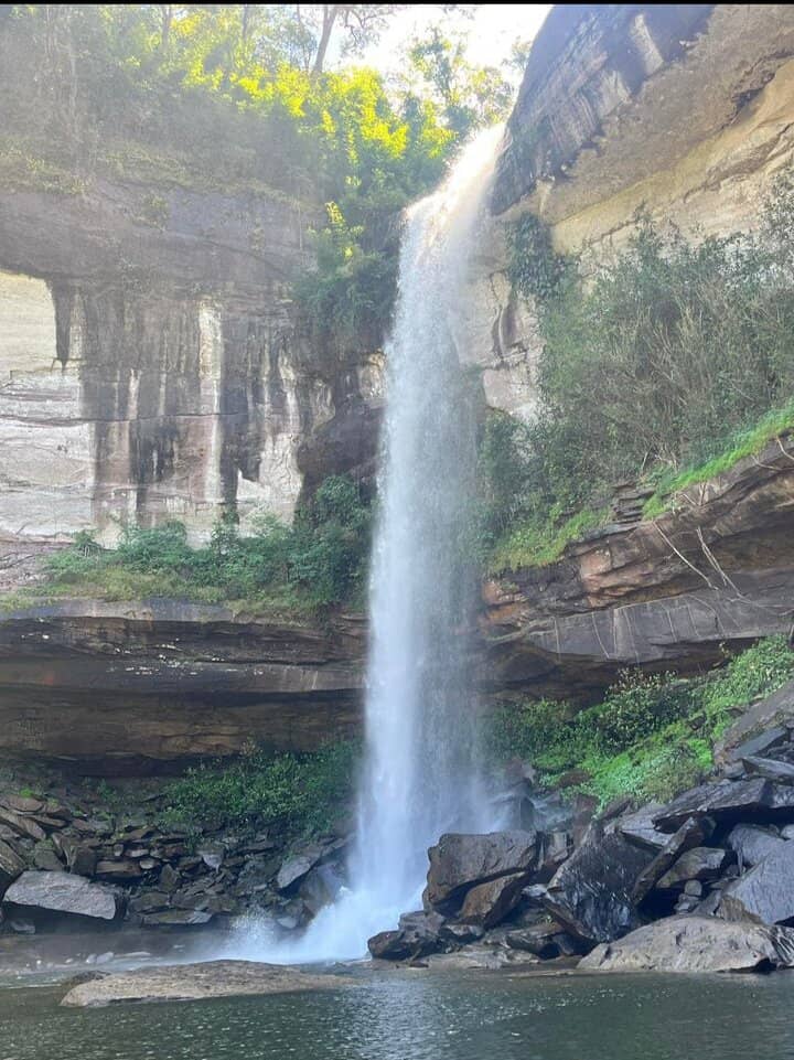 Vertical photo
