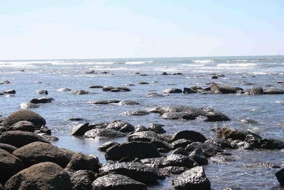 Tranquil Beach Vibe