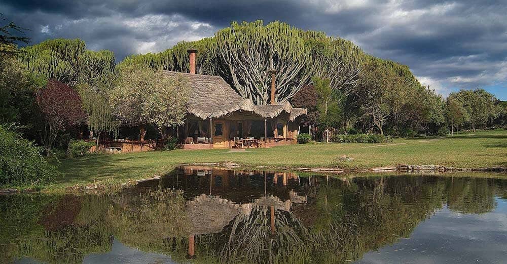 Bush Breakfast Experience