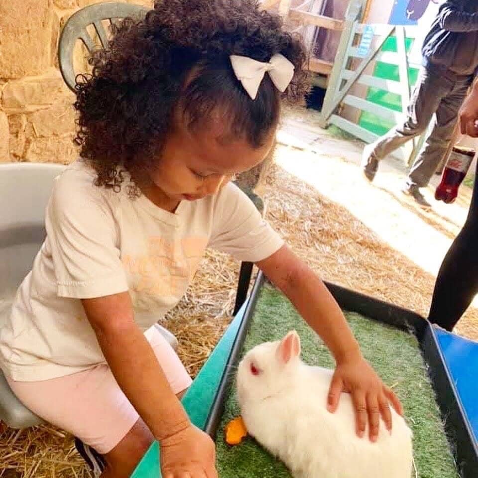 Interactive Animal Encounters