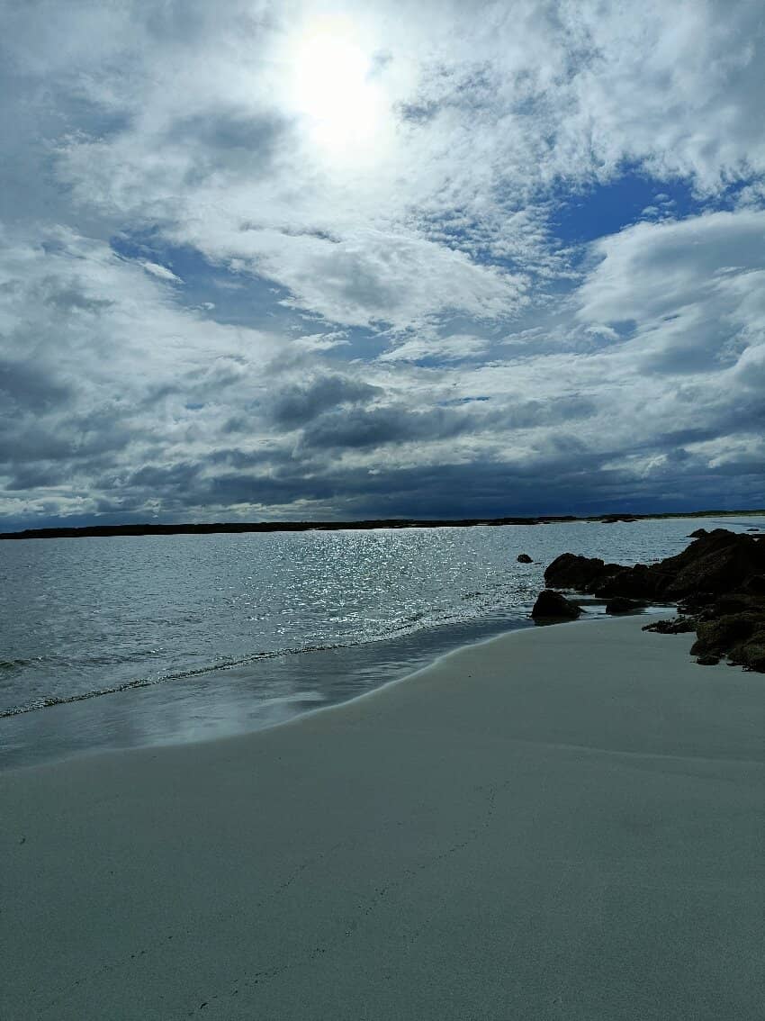 Seashell Sands