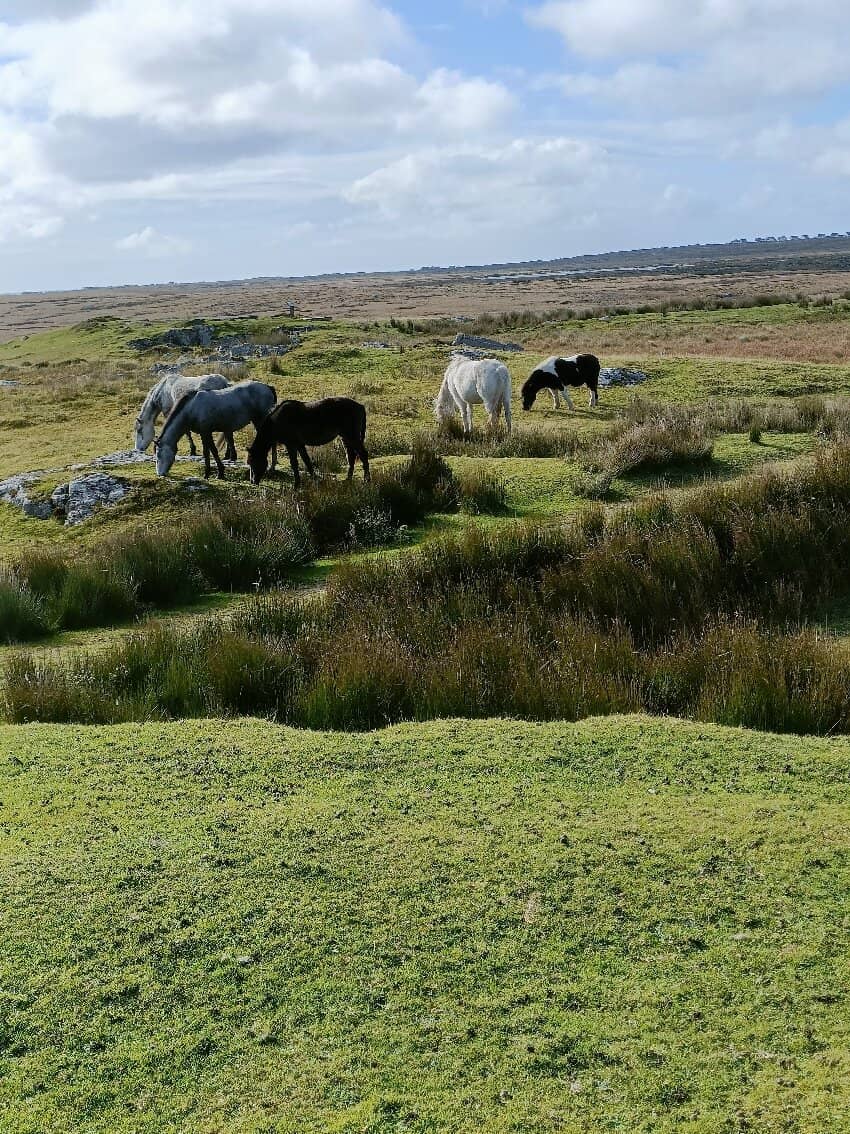 Alcock and Brown Landing Site