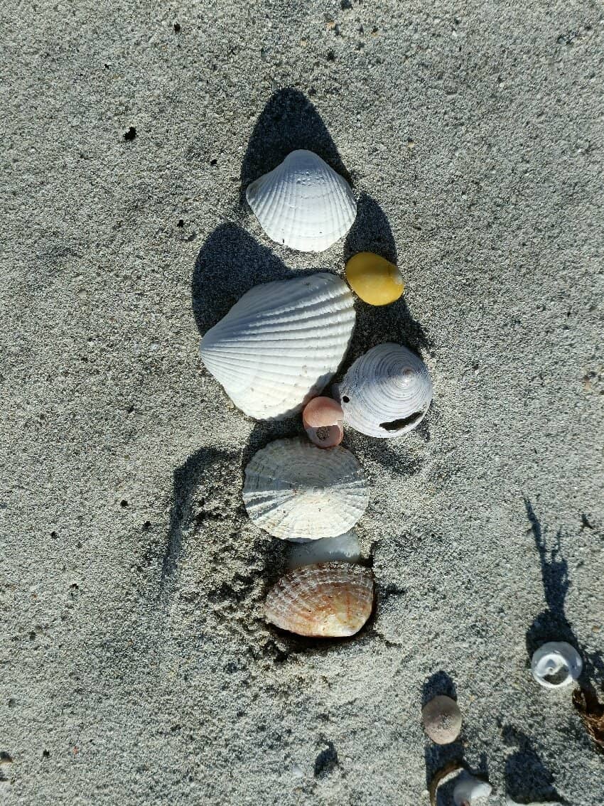 Aillebrack Beach Serenity