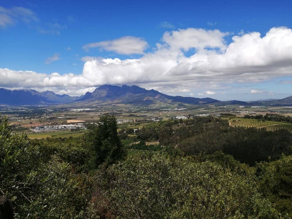 Indigenous Plant Trail