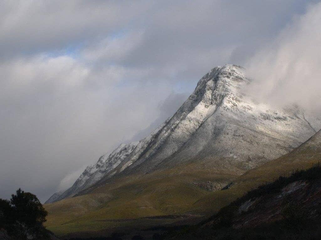 Exceptional Pinot Noir & Chardonnay