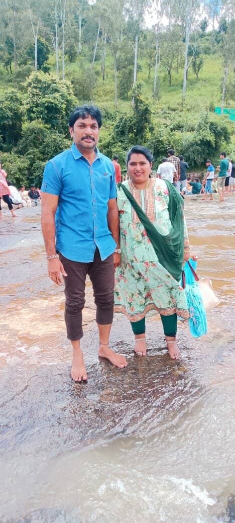 Sunflower Fields & Honey Farms