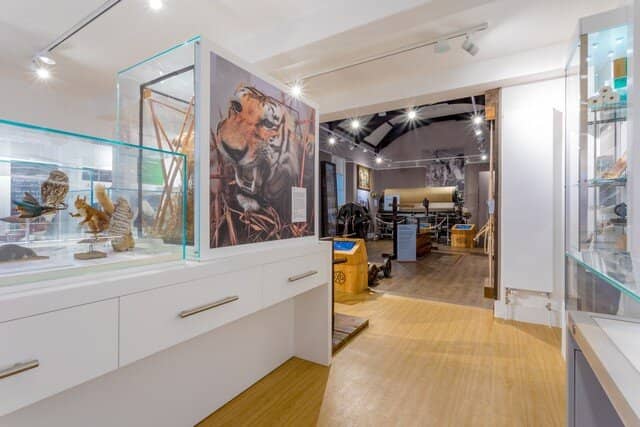 Dr. Roberts' Apothecary