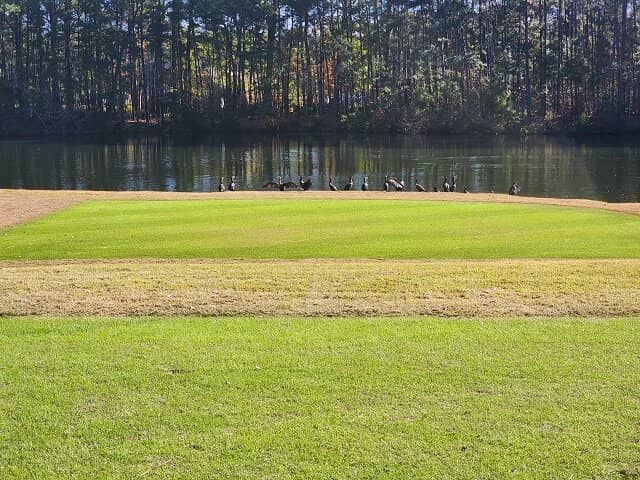 Strategic Waste Bunkers