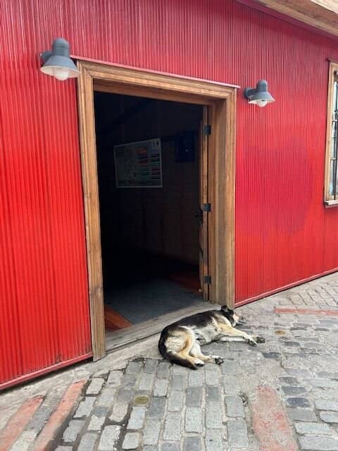 Cerro Concepción Charm