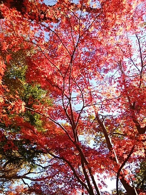 Seasonal Colors