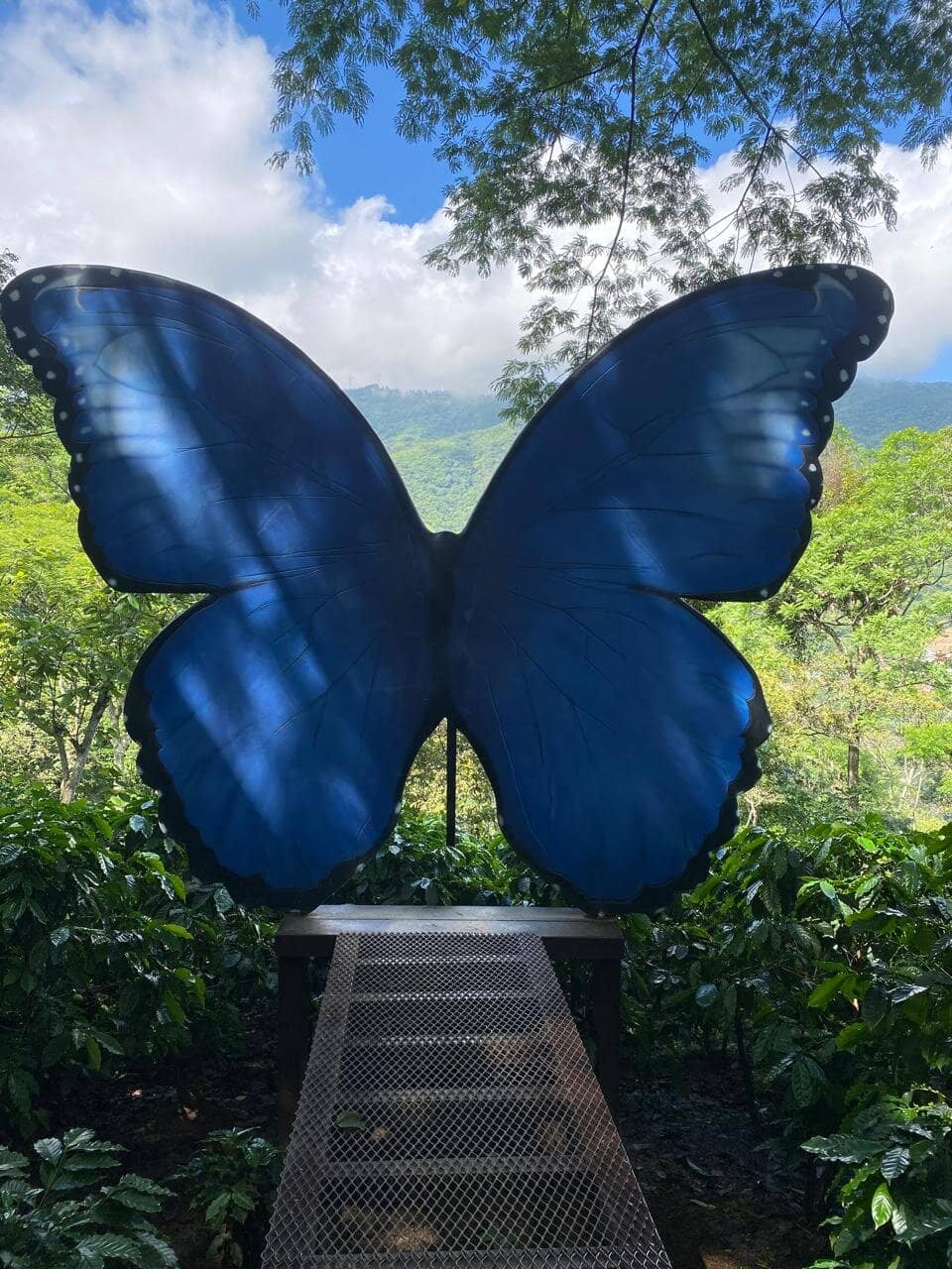 Biodiversity Hotspot