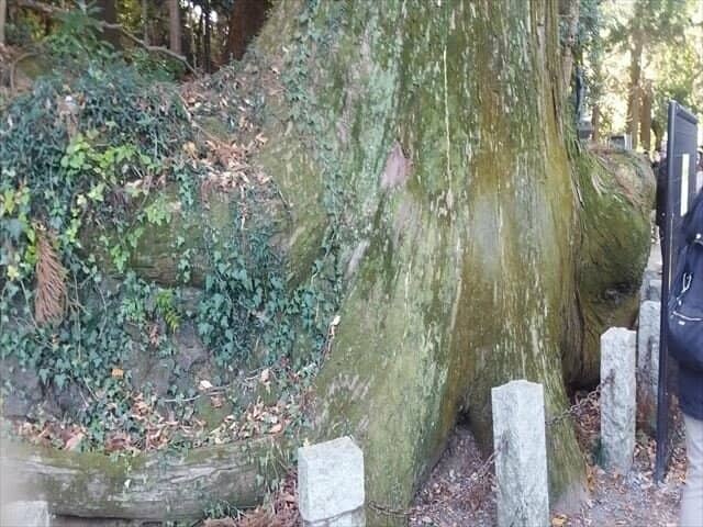 Vertical photo