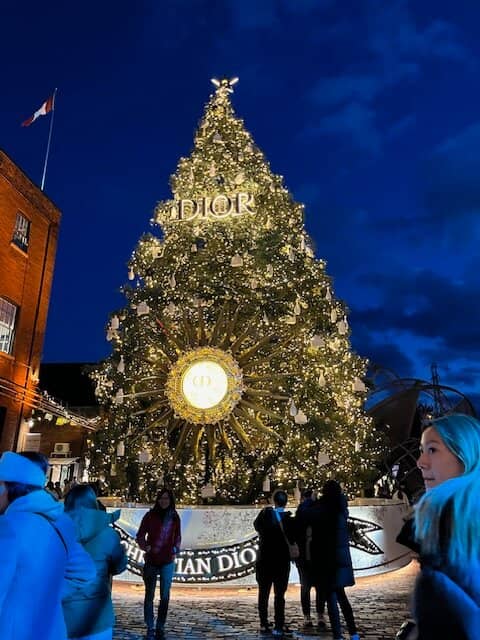 Unique Artisan Shops