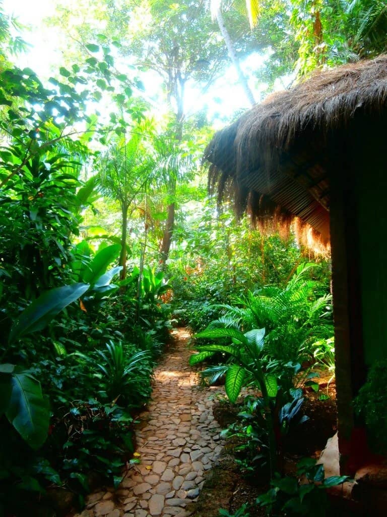 Sunset Views & Beach Shacks