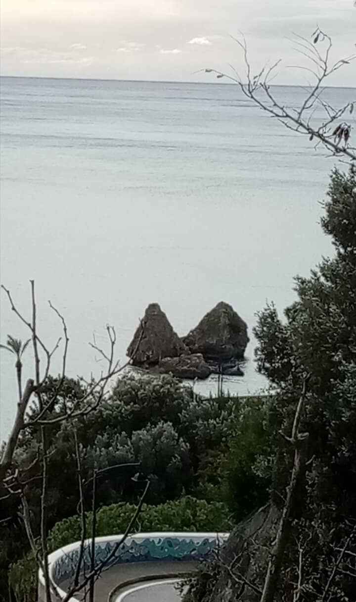 Vertical photo