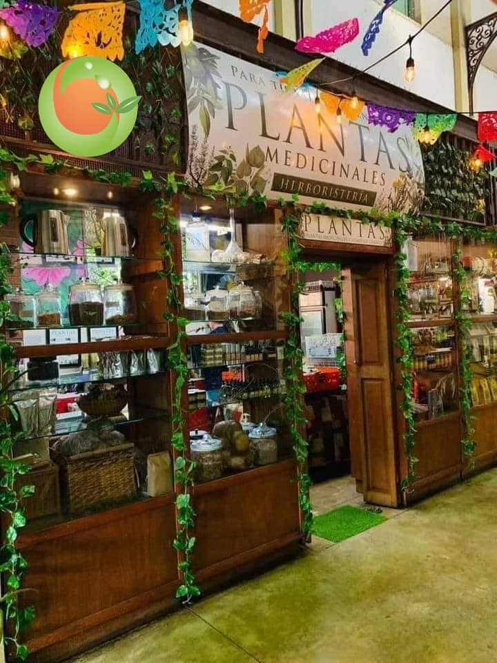 Daytime Market Charm