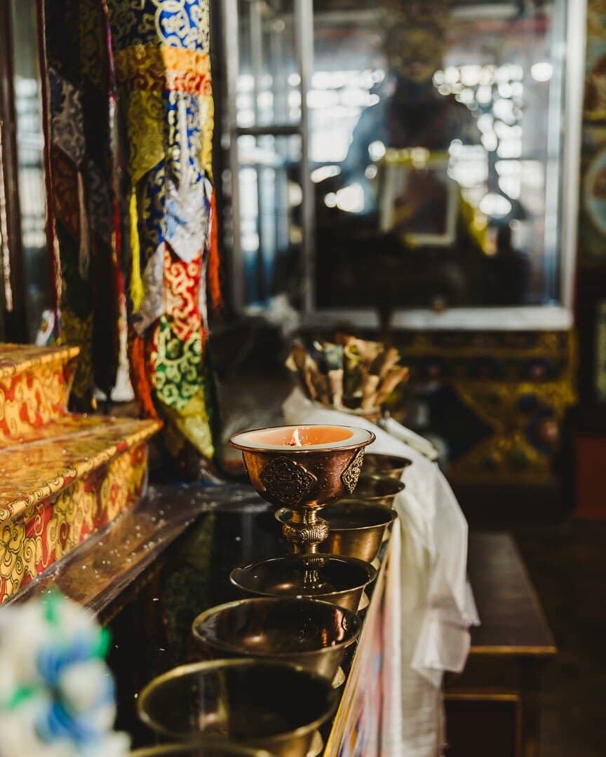 The Meditative Forest Trail