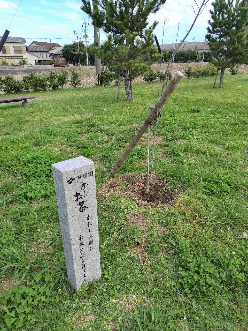 Vertical photo