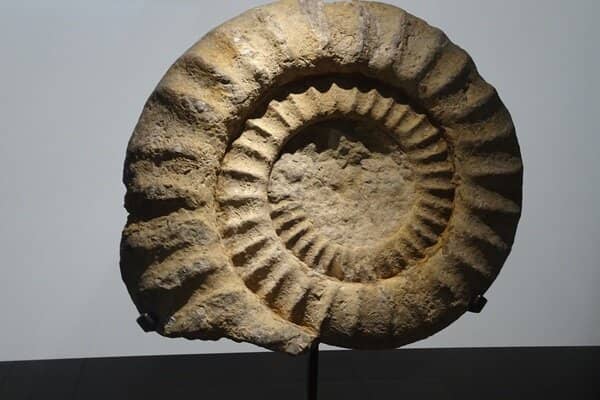 Modern Museum Experience