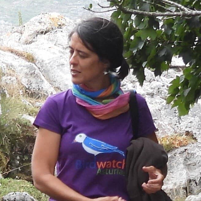 Mirador de Entrelagos