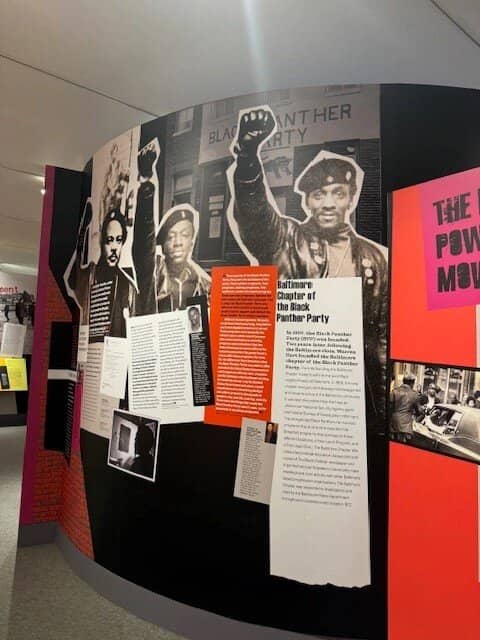 Quilted Connections: Sisterhood in Cloth