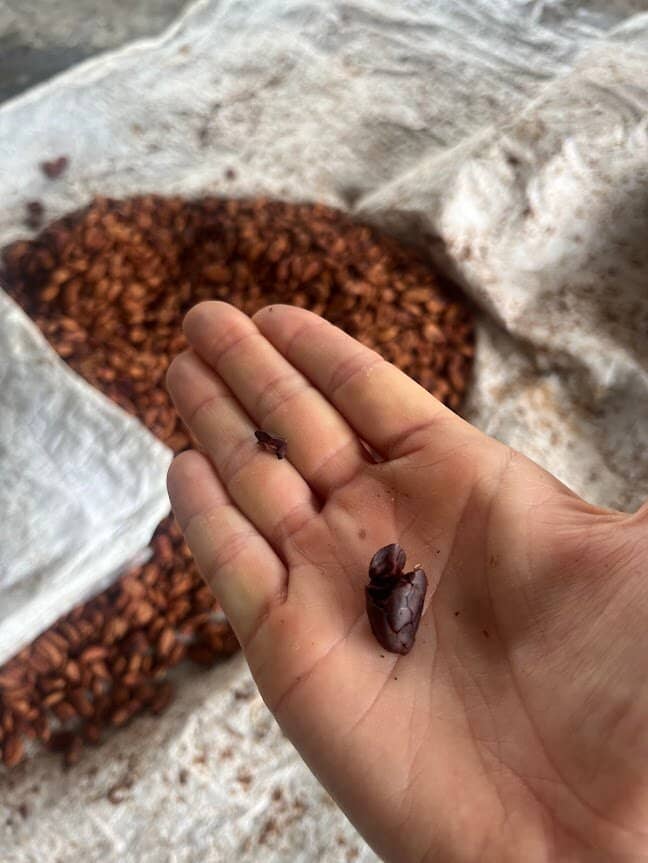 Native Cuisine by Doña Irma