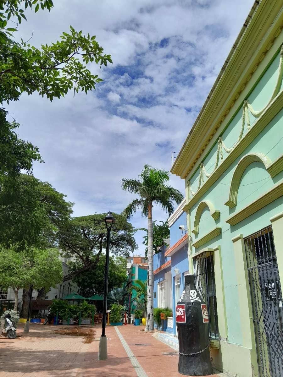 Street Juice Stalls