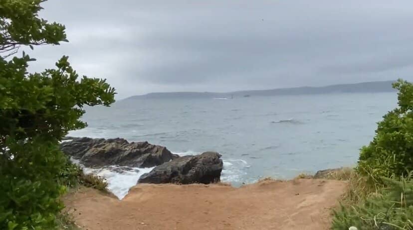 Sandy Cove